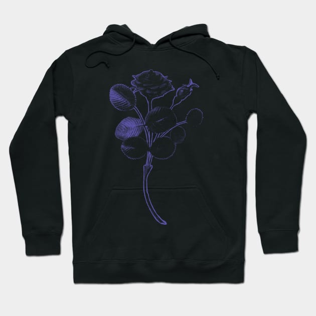 Rosa de Pelagio Black Rose Purple Outline Image Hoodie by pelagio